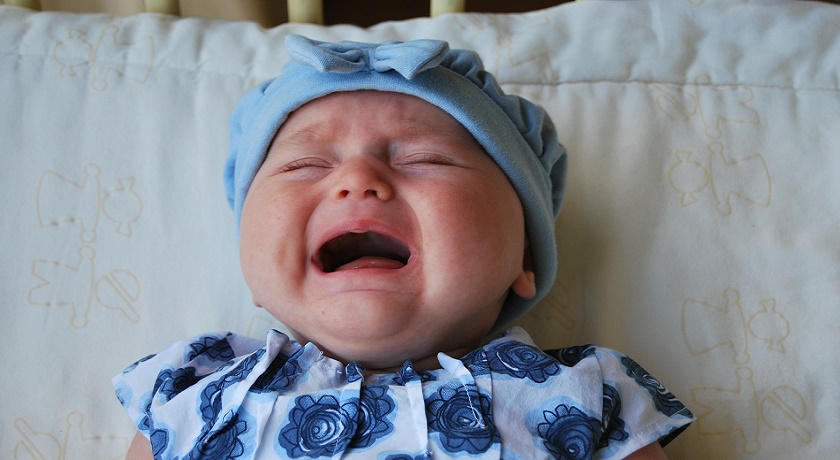 azafata Santo Sueño El apego en los bebés | Conectia Psicología